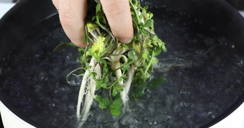 유튜브 '요리왕비룡 Korean Food Cooking'