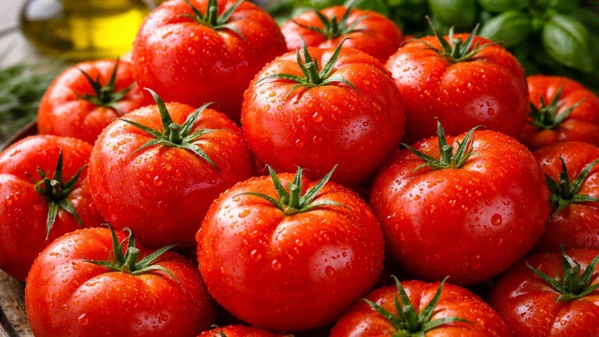 맛있는 토마토 / 기사 내용을 바탕으로 제작한 AI 이미지