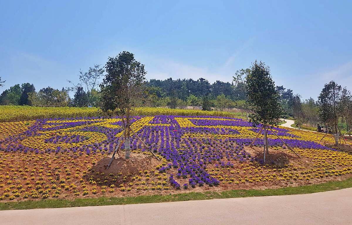 장도 풍경 / 여수시-여수관광문화 홈페이지