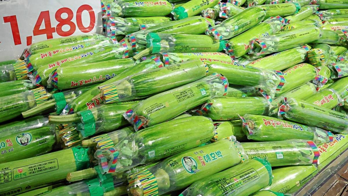 포장 비닐 꽉 끼어져 있는 애호박들. 자료 사진. / 뉴스1