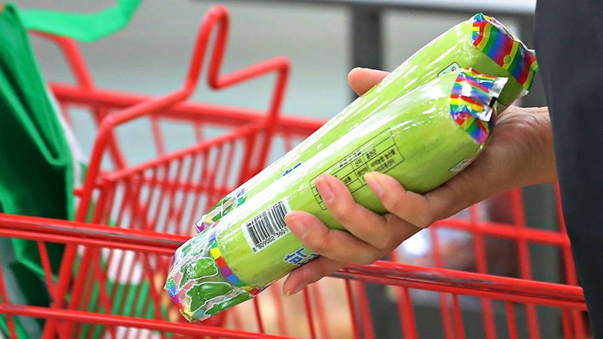 장바구니 단골 손님 애호박. 자료사진. / 뉴스1