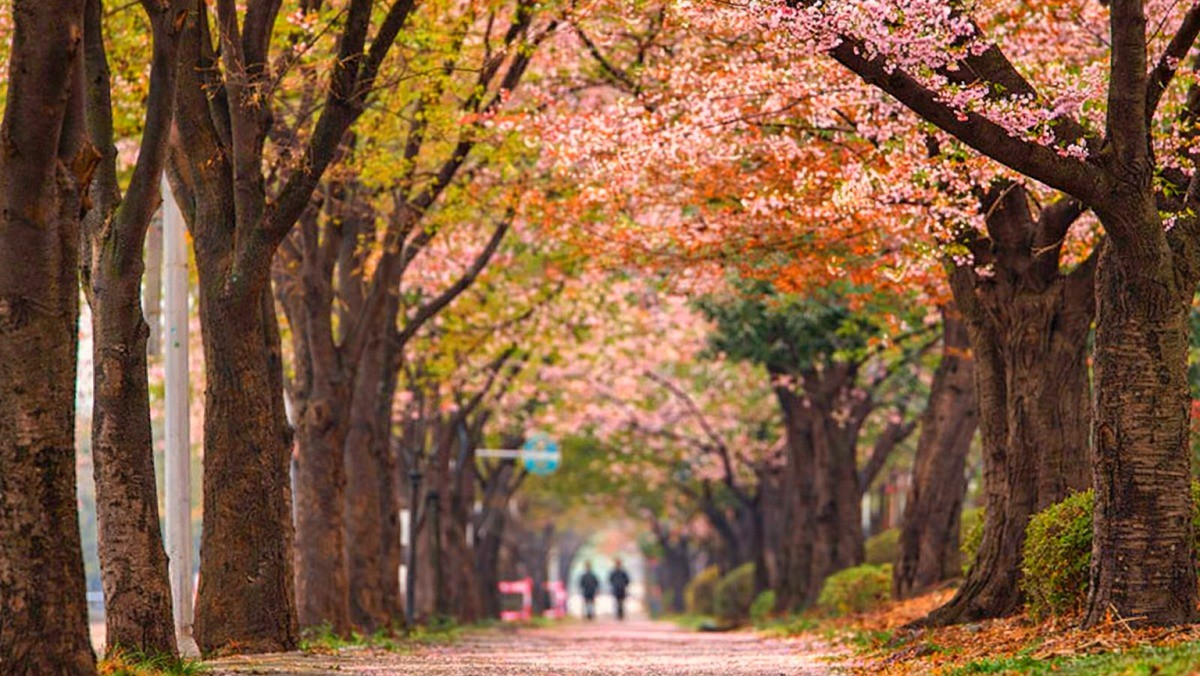 서울어린이대공원. 기사 내용 토대로 AI툴 활용해 제작한 자료사진.