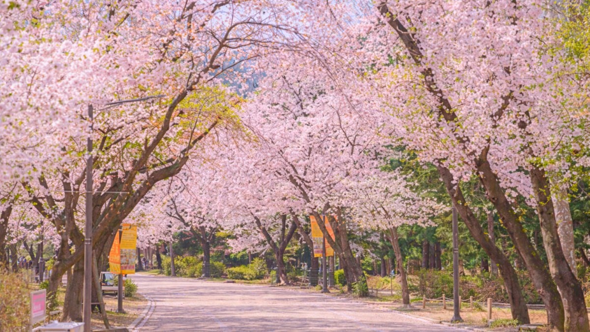 서울어린이대공원. 기사 내용 토대로 AI툴 활용해 제작한 자료사진.