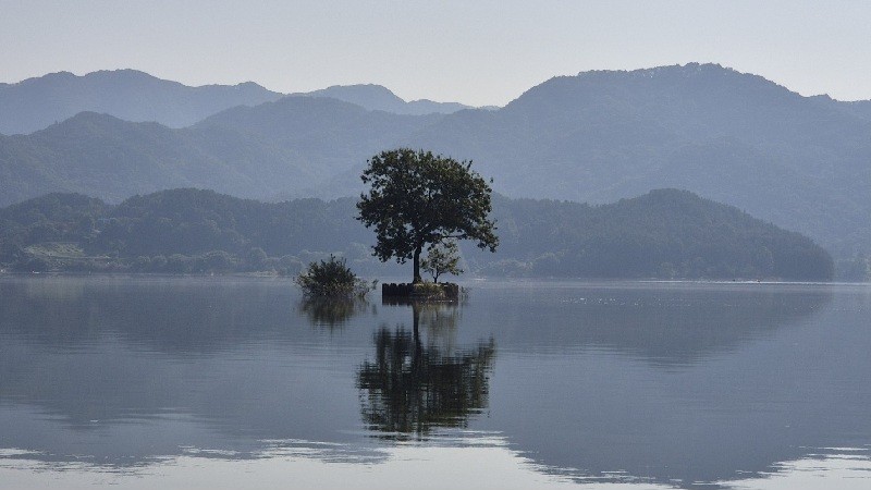 대청호 오백리길 4구간 호반낭만길 가운데 명상정원 풍경/사진=김지연 기자