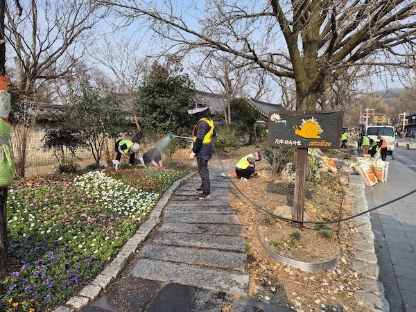 봄꽃 식재 / 전주시