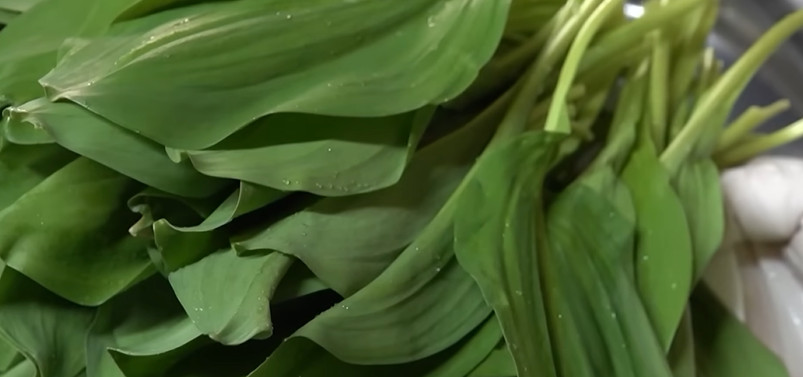 유튜브 'EBSDocumentary (EBS 다큐)'