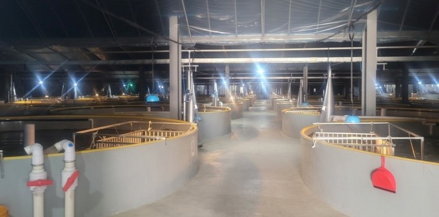 순환여과식 양식장