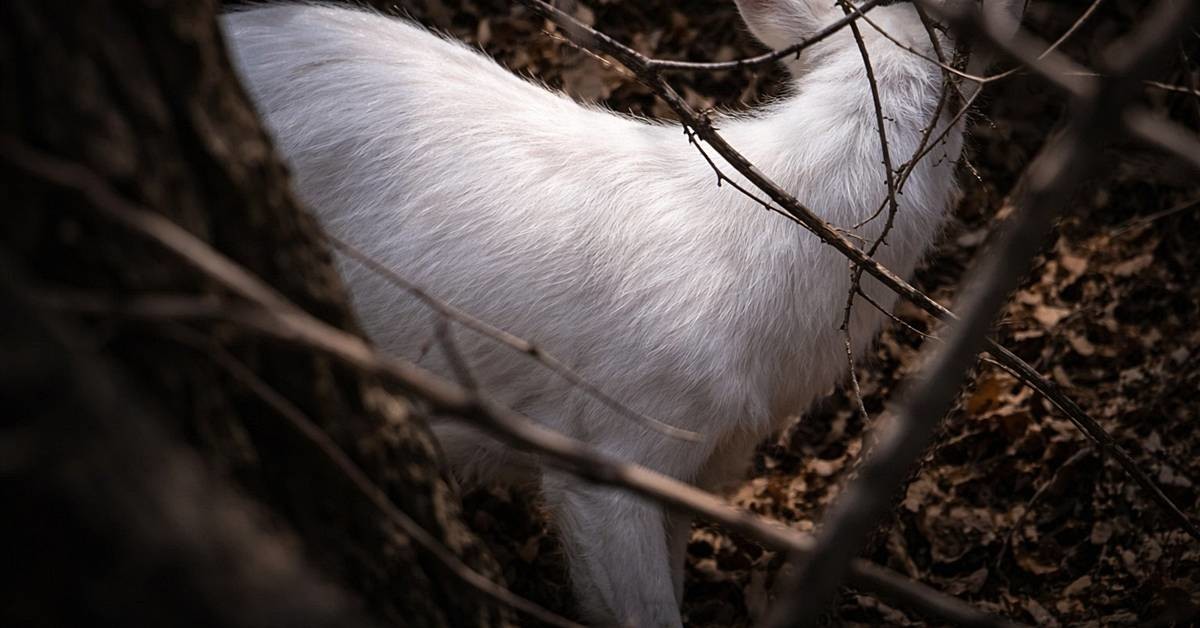 기사 내용을 바탕으로 AI 툴로 제작한 자료 사진