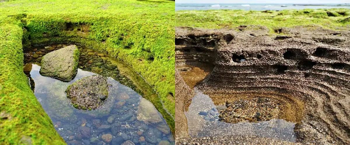 광치기해변 / VISIT JEJU-제주관광공사 제공