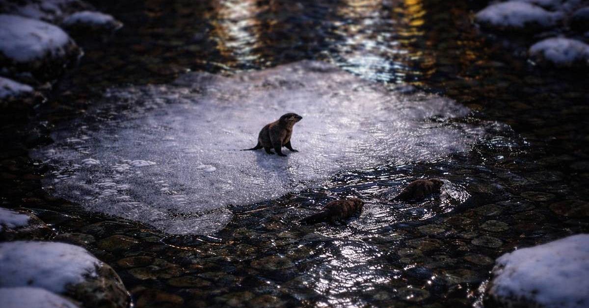 기사 내용을 바탕으로 이해를 돕기 위해 AI 툴로 제작한 자료 사진