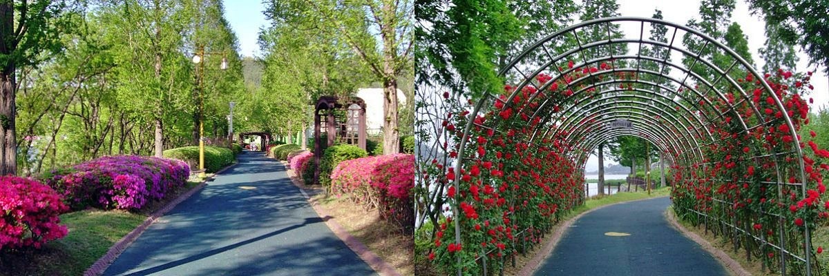 신정호정원 산책로 / 신정호정원 홈페이지