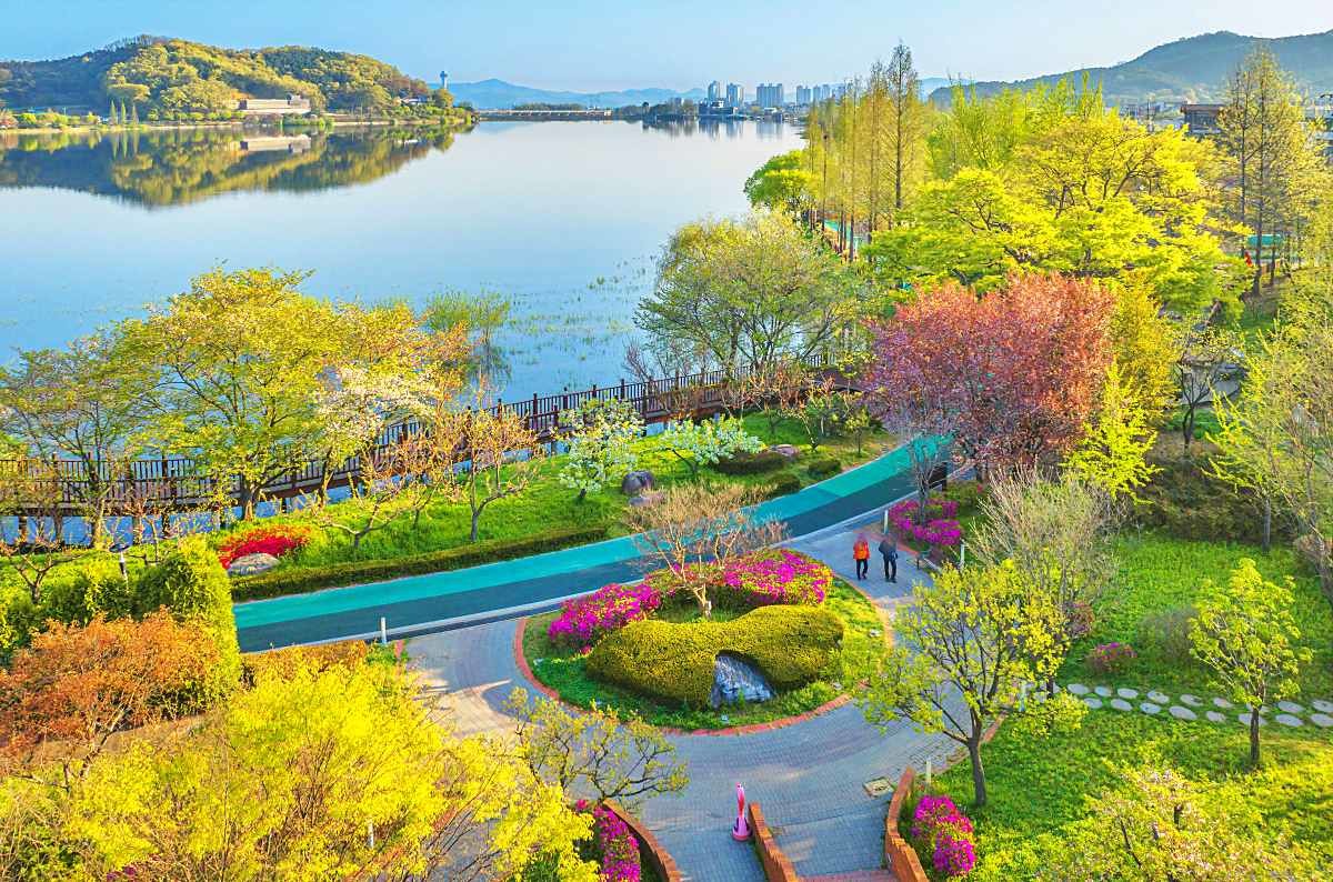 신정호정원의 봄 / 신정호정원 홈페이지