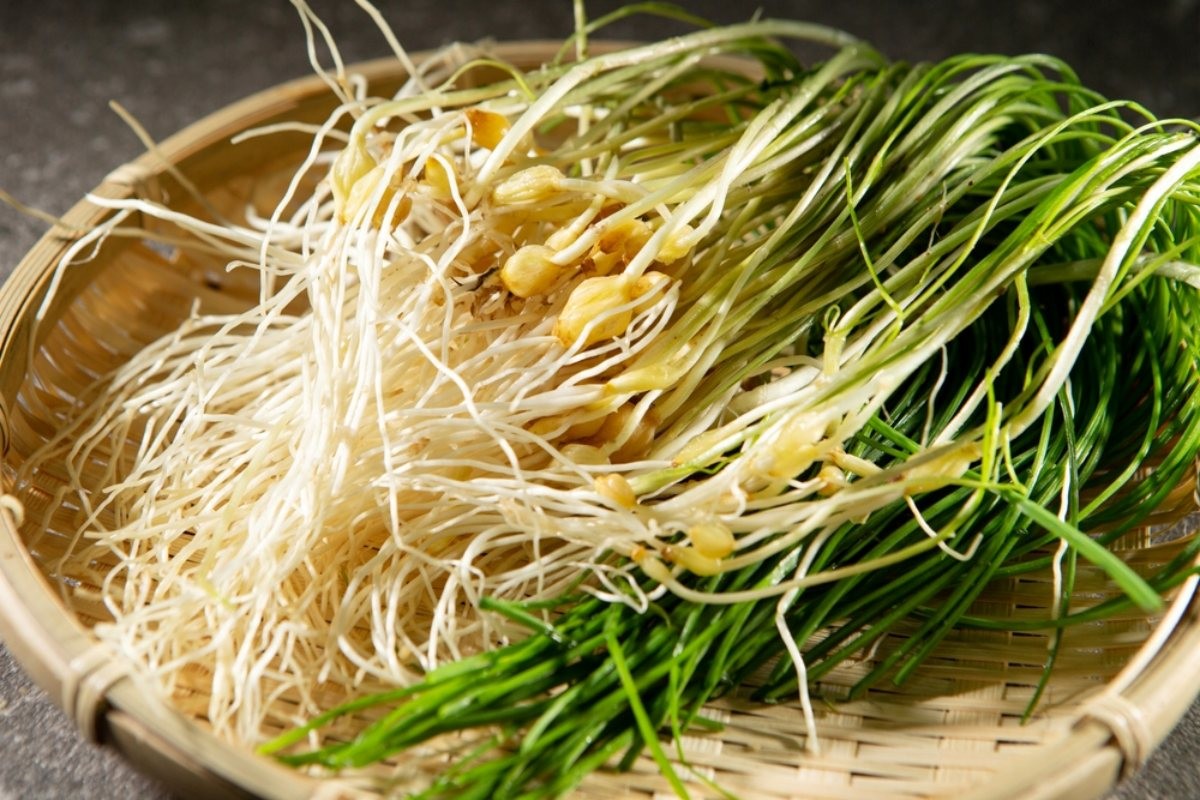 달래 사진 / mnimage-shutterstock.com