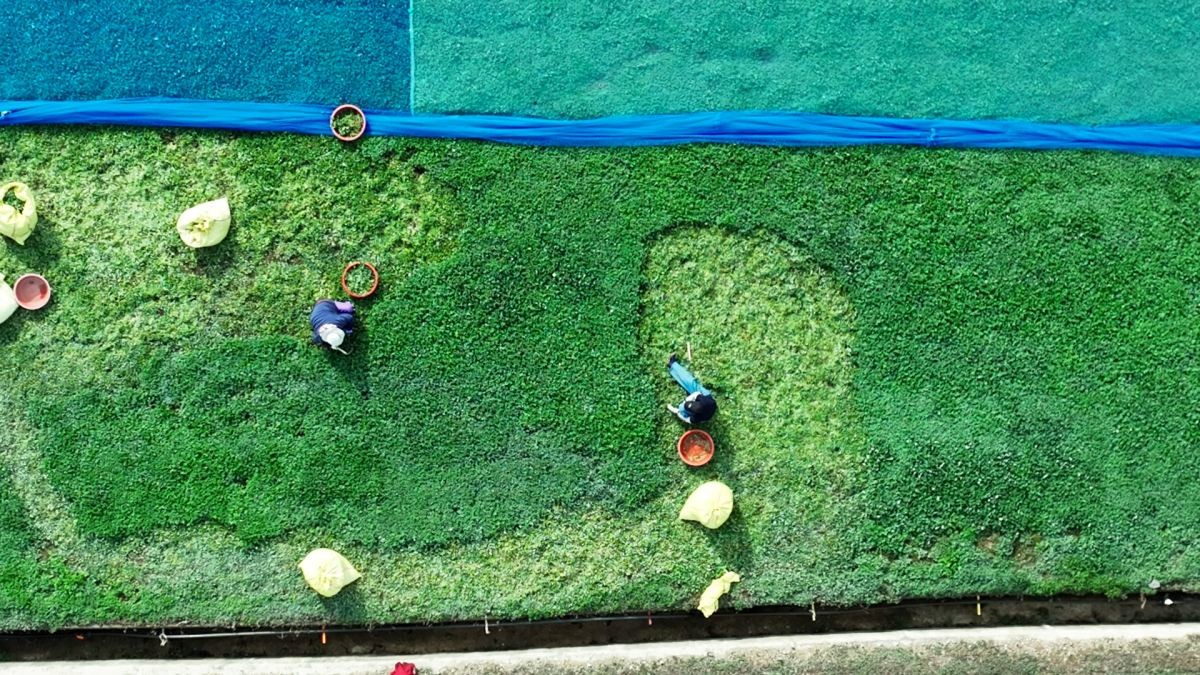 EBS1 '한국기행' 미리보기 페이지에서 제공하는 '캐고 먹고, 상조도' 편 자료 사진. / EBS1 제공