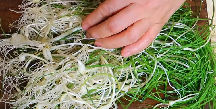 유튜브 '가루씨의 집밥Garussi home cooking'