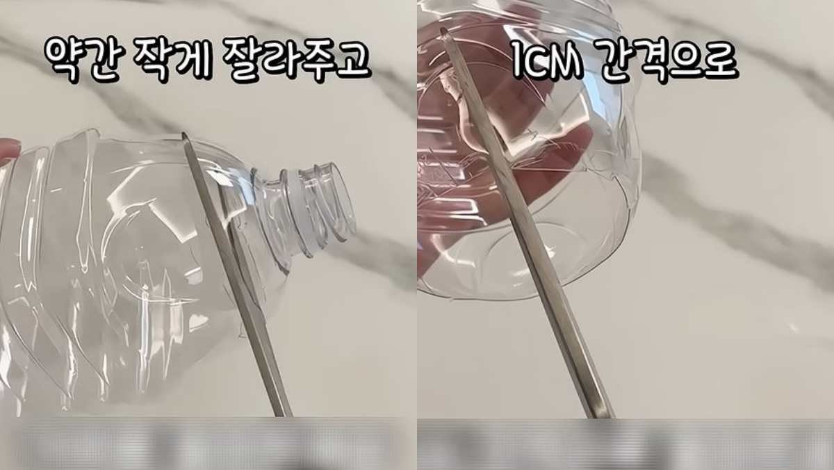 페트병 입구 부분을 자른 후 세로로 1cm 간격으로 잘라주는 모습. / 유튜브 '살림모드'