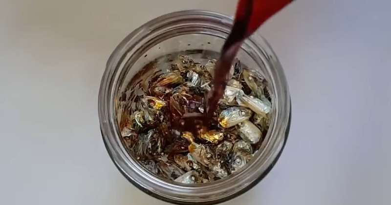 유튜브 '주부나라'