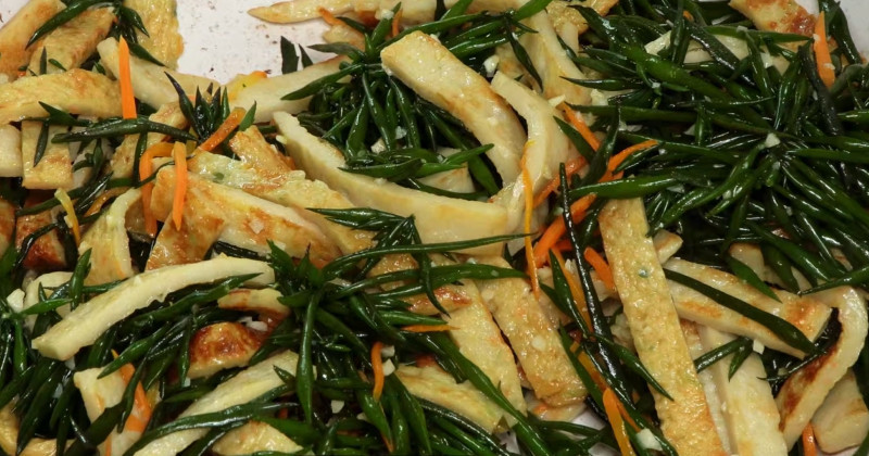 유튜브 '팔숙이 palsook'