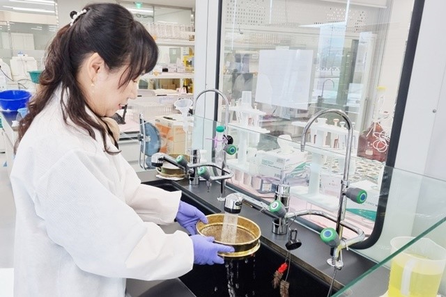 농산물안전분석센터 토양검정 담당자가 체가름법으로 성토토양 모래함량을 분석하고 있다.