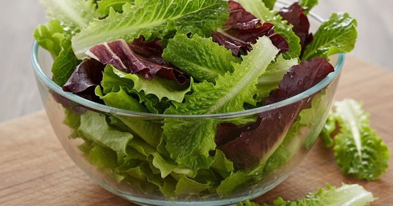 기사의 이해를 돕기 위한 AI 생성 이미지