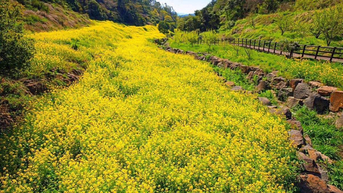 서귀포 엉덩물계곡. 기사 내용 토대로 AI툴 활용해 제작한 자료사진.