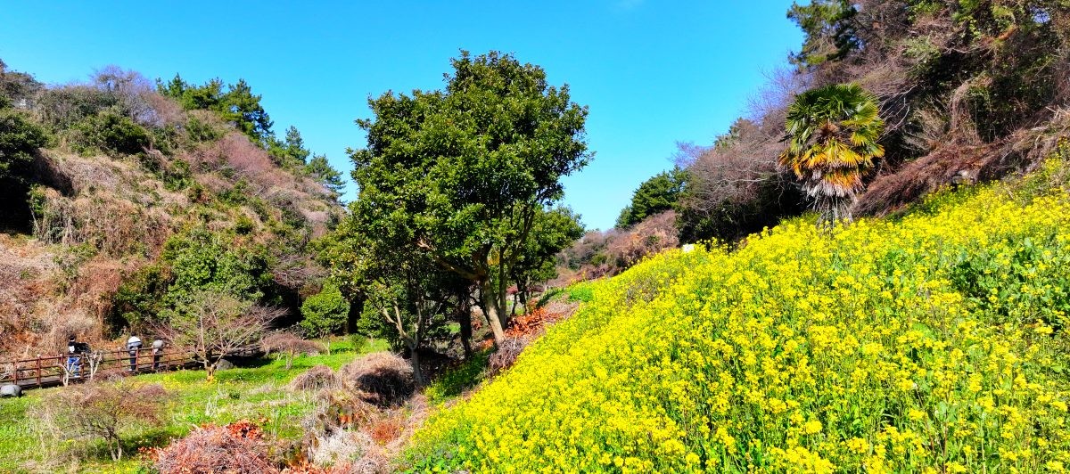 서귀포 엉덩물계곡. / 연합뉴스