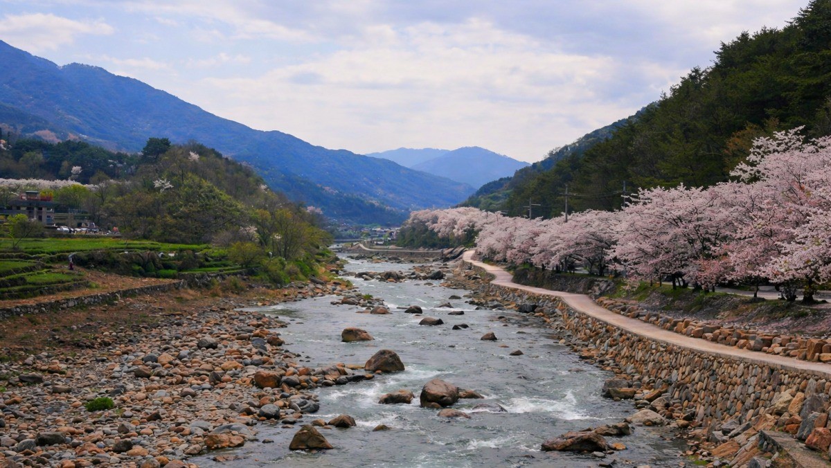 하동 십리벚꽃길. / 하동군 공식 블로그, AI