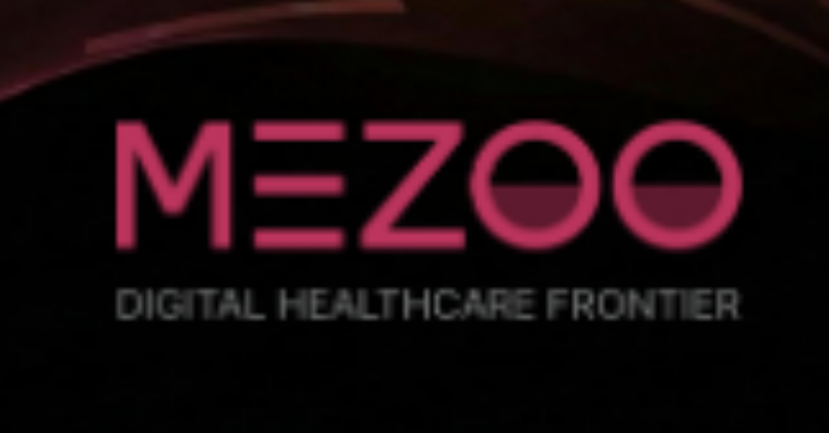 메쥬 / 메쥬 IR book