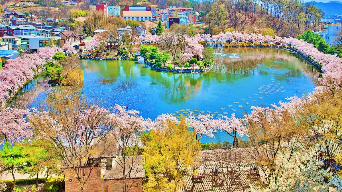 연화지의 봄 / 김천시 제공-뉴스1