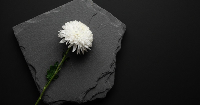 기사의 이해를 돕기 위한  AI 생성 이미지