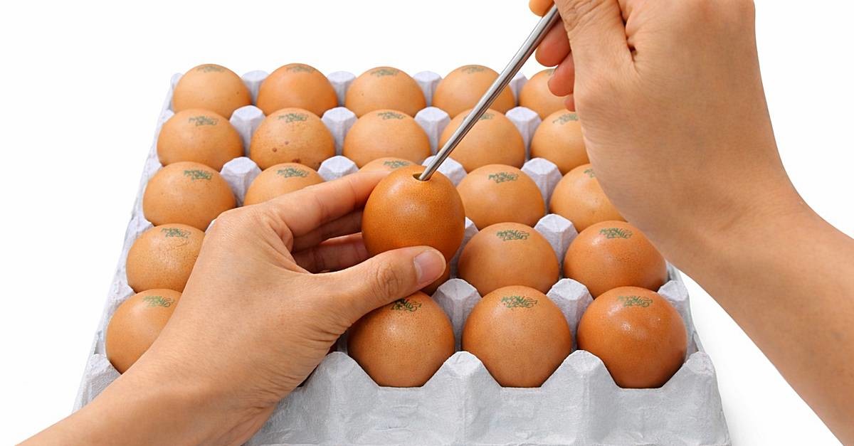 기사에 대한 이해를 돕기 위해 AI 툴로 제작한 자료 사진