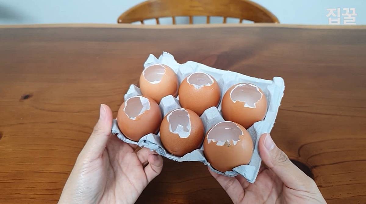 계란 껍데기가 천연 가습기로 / 유튜브 '집구석구석꿀팁, 집꿀'