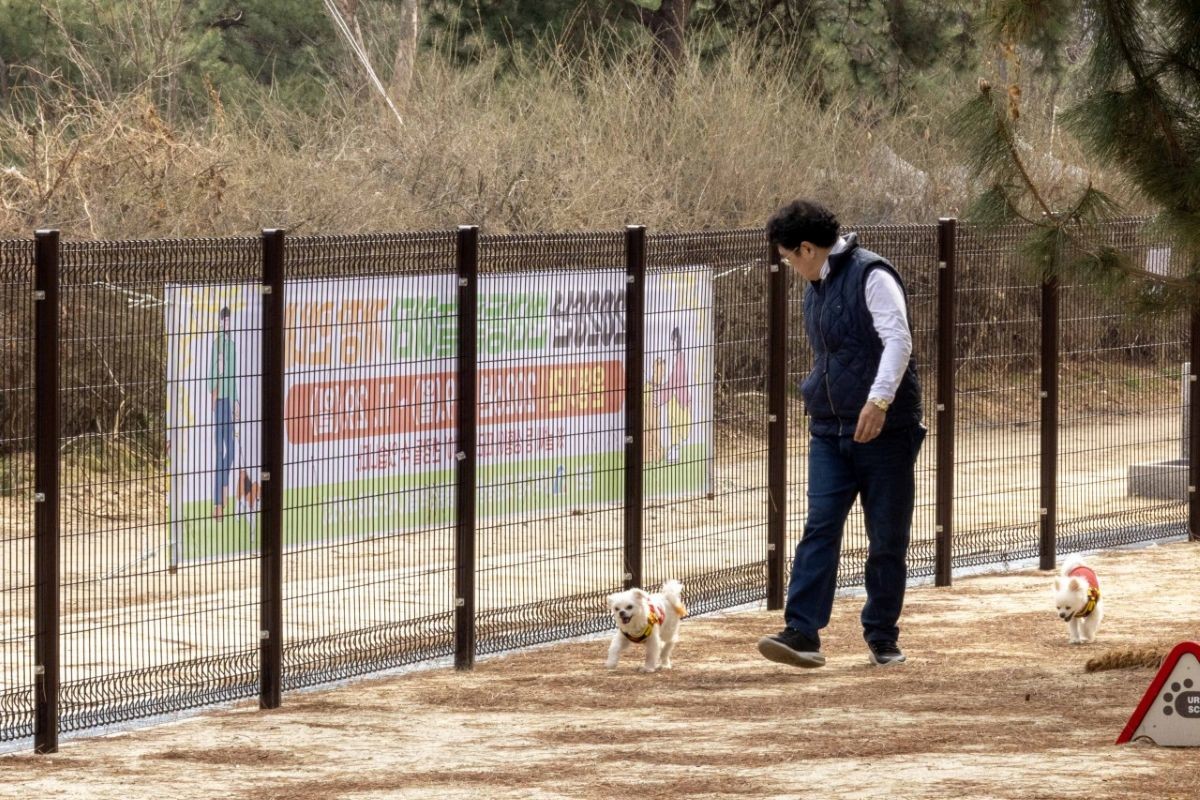 덕암야구장 반려동물 놀이터에서 지역 주민이 반려동물과 함께 산책하고 있다. / 사진=대전 대덕구