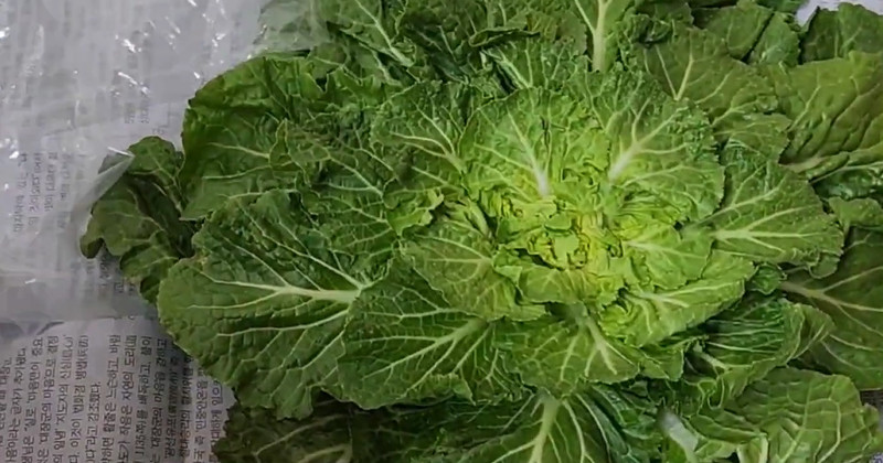 유튜브 '행복그릇'