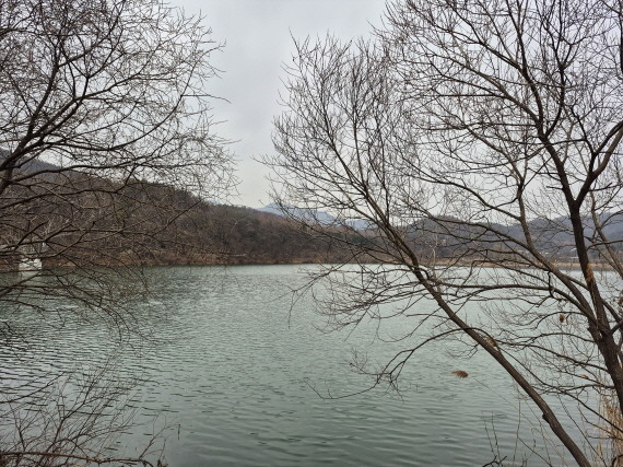 대왕저수지. / 위키트리 김태희 기자