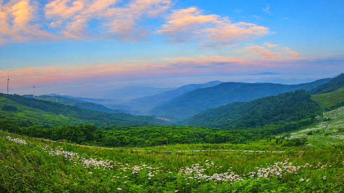 평창 청옥산 육백마지기. 기사 내용 토대로 AI툴 활용해 제작한 자료사진.