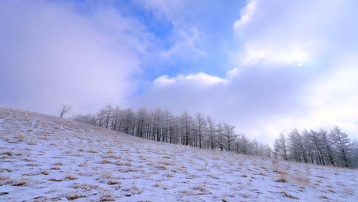 평창 청옥산 육백마지기. 기사 내용 토대로 AI툴 활용해 제작한 자료사진.