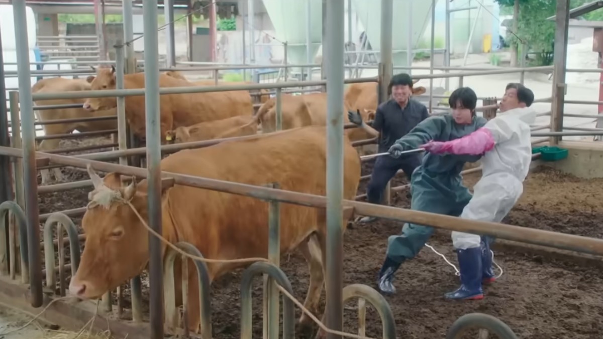 '오늘도 매진했습니다' 스페셜 티저 일부. / 유튜브 'SBS 스브스 Drama'