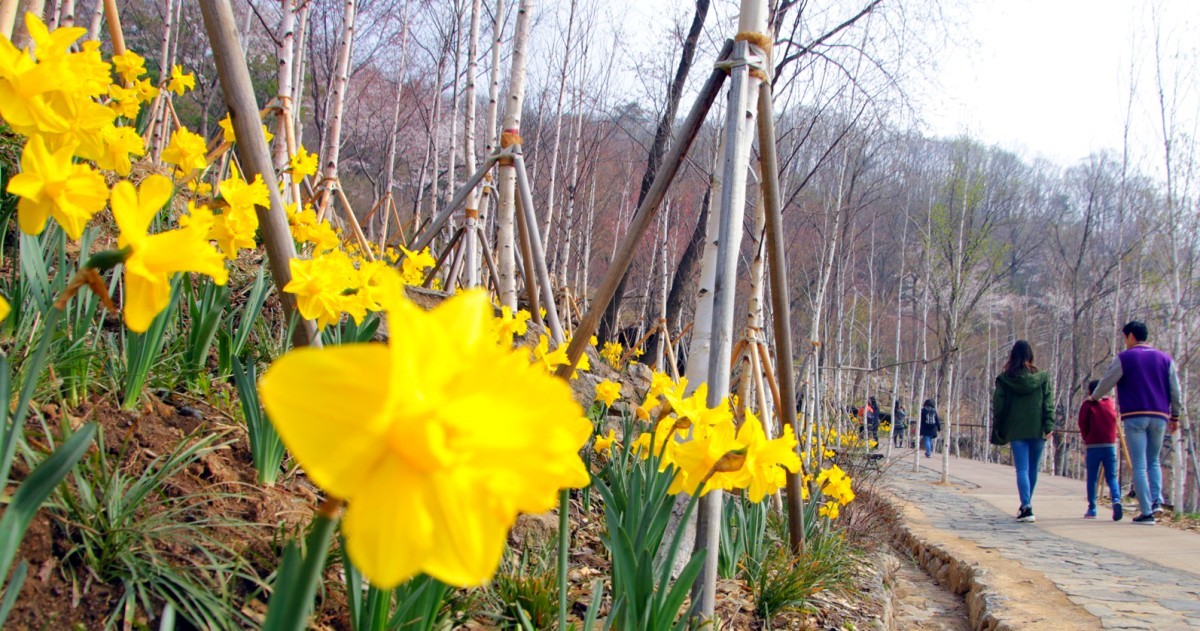 화담숲. / 뉴스1