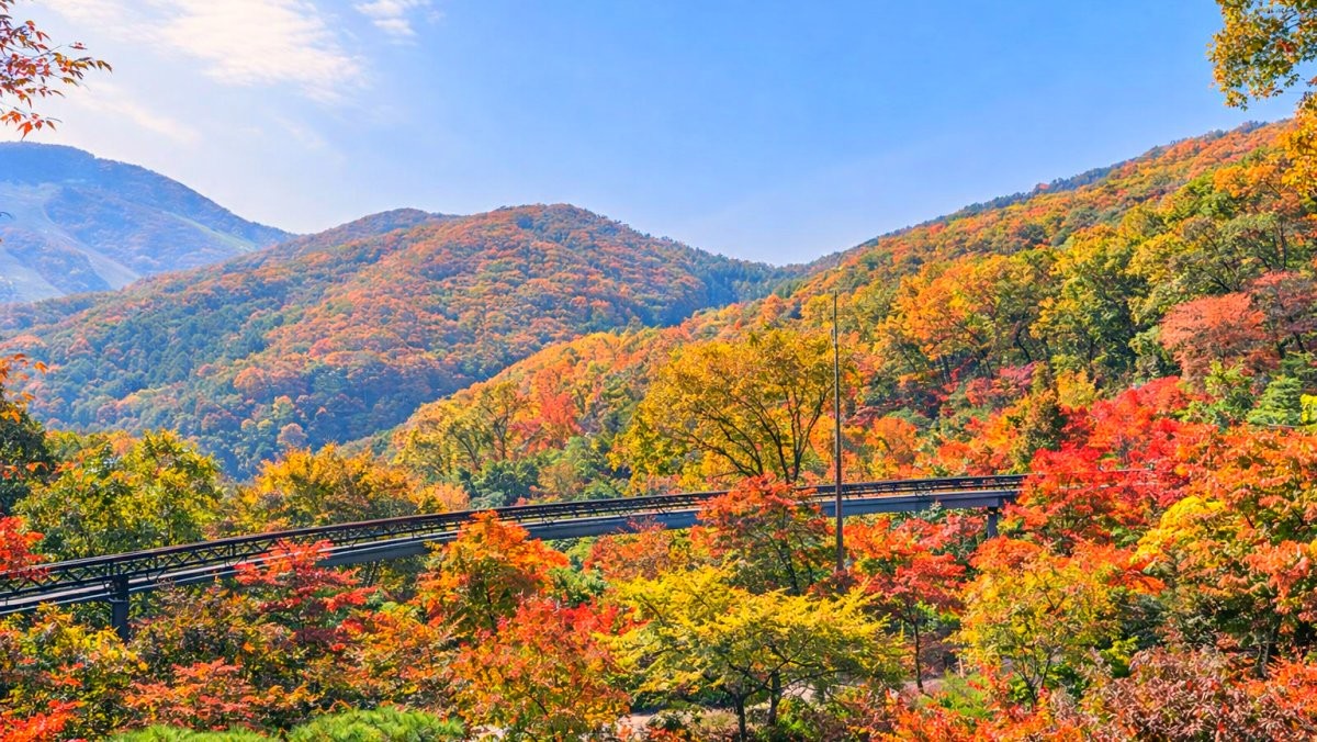 화담숲. 기사 내용 토대로 AI툴 활용해 제작한 자료사진.