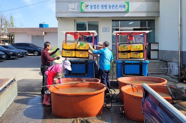 벼 종자 온탕소독 지원 / 순창군