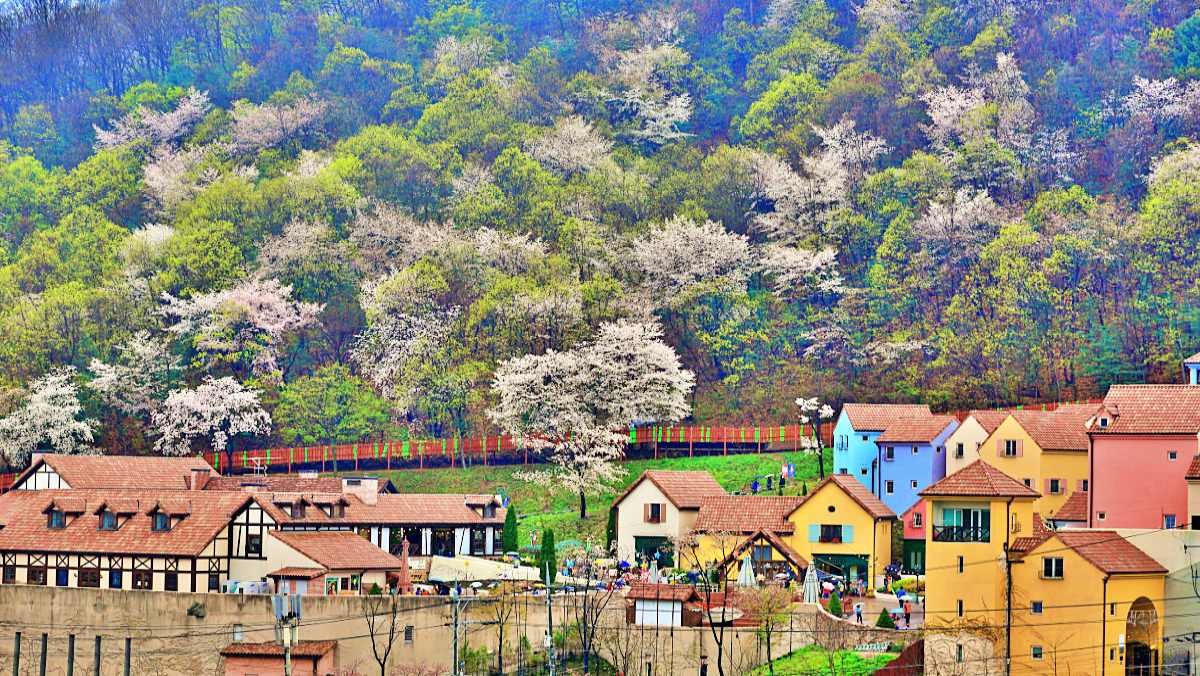 가평 쁘띠프랑스 풍경 / 경기도-공공누리