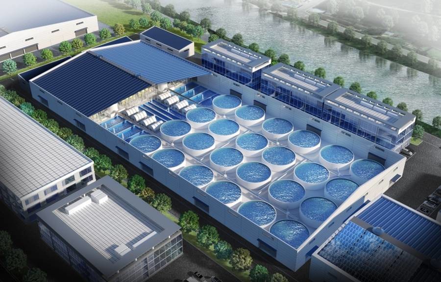 스마트양식 클러스터 테스트베드 조감도/포항시