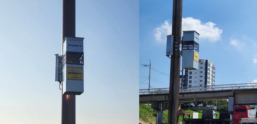 영천시 금창교 일원에 설치된 포충기.   / 영천시 제공