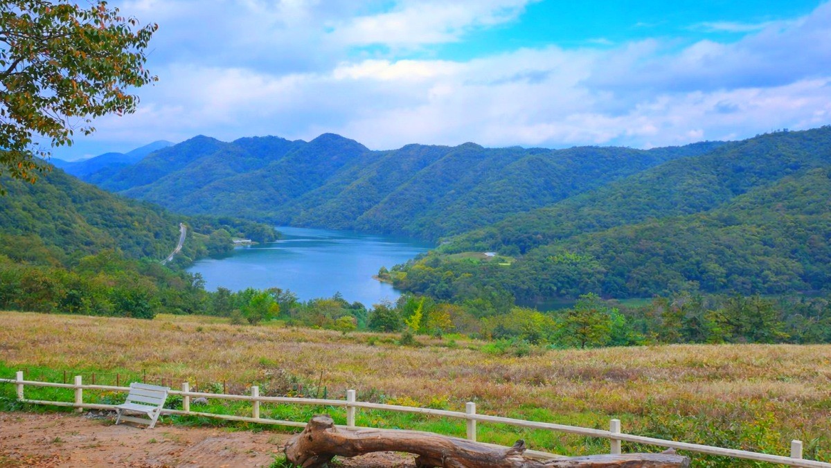 춘천 해피초원목장. 기사 내용 토대로 AI툴 활용해 제작한 자료사진.