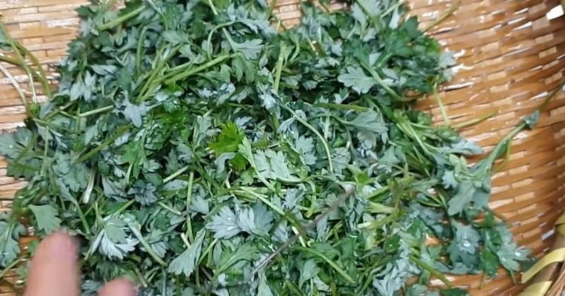 유튜브 '고향누나 자연식단'