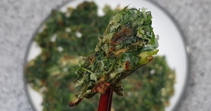 유튜브 '고향누나 자연식단'