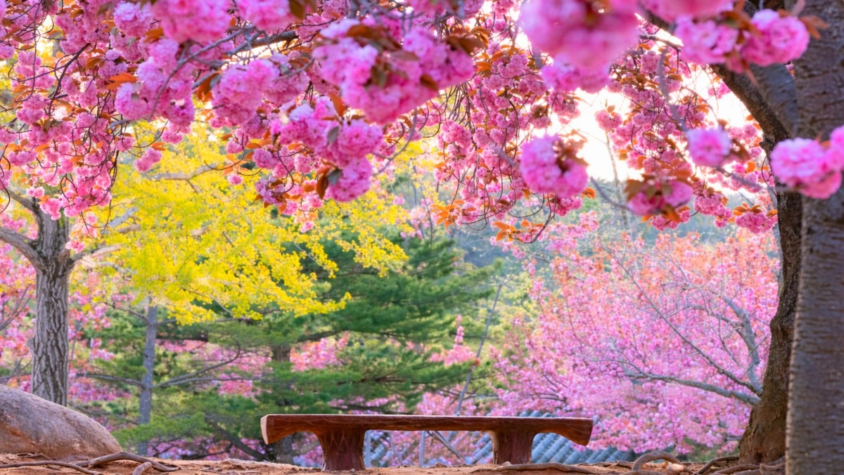 불국사공원. / KoreaKHW-shutterstock.com, AI