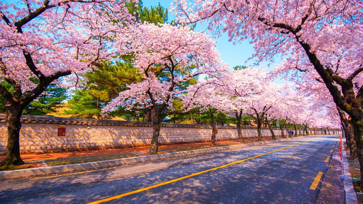 경주. / ST_Travel-shutterstock.com