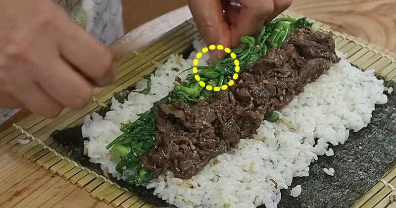 유튜브 '땅끝마을 임선생'